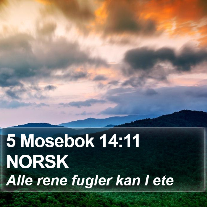 5 Mosebok 14:11 NORSK Bible Study