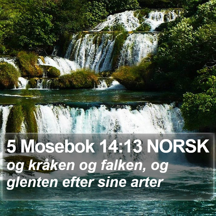 5 Mosebok 14:13 NORSK Bible Study