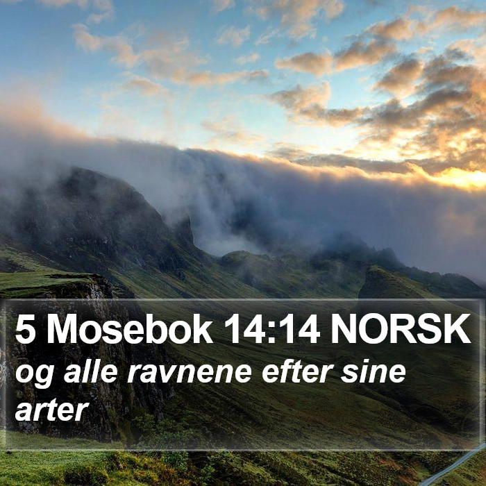 5 Mosebok 14:14 NORSK Bible Study