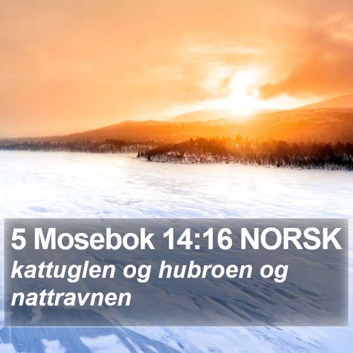 5 Mosebok 14:16 NORSK Bible Study