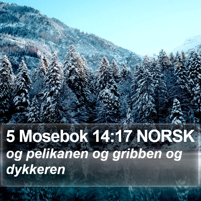 5 Mosebok 14:17 NORSK Bible Study