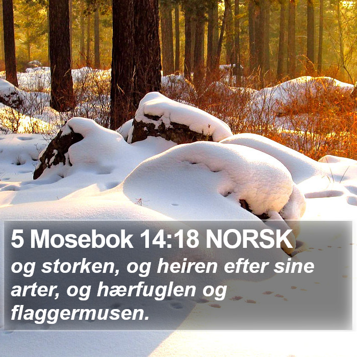 5 Mosebok 14:18 NORSK Bible Study
