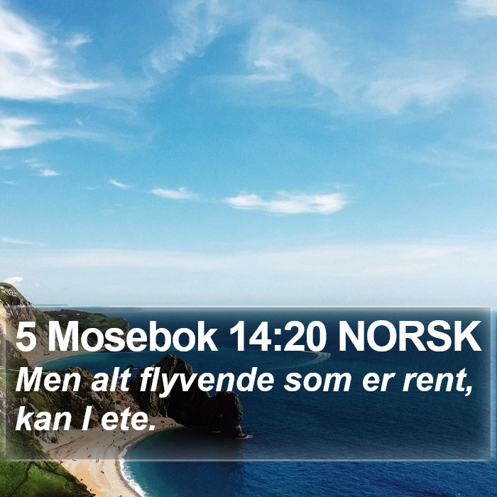 5 Mosebok 14:20 NORSK Bible Study