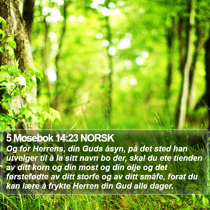 5 Mosebok 14:23 NORSK Bible Study