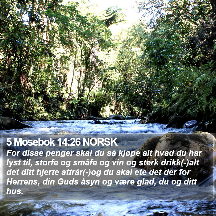 5 Mosebok 14:26 NORSK Bible Study