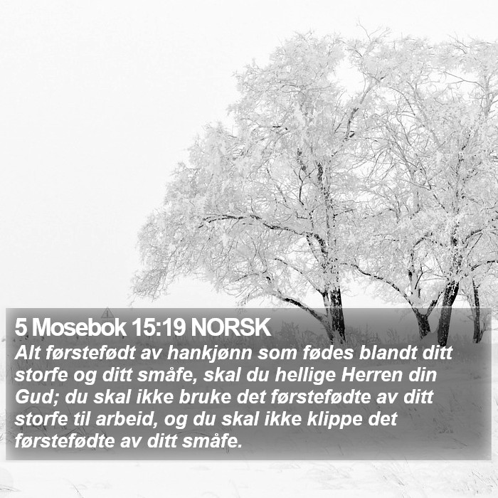 5 Mosebok 15:19 NORSK Bible Study