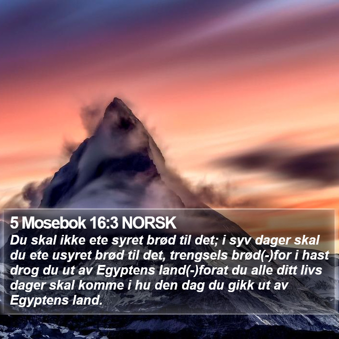 5 Mosebok 16:3 NORSK Bible Study