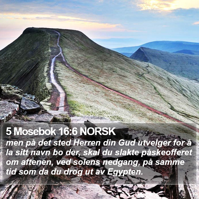 5 Mosebok 16:6 NORSK Bible Study