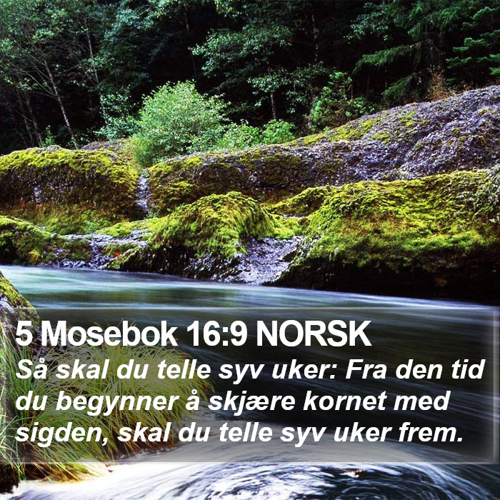 5 Mosebok 16:9 NORSK Bible Study