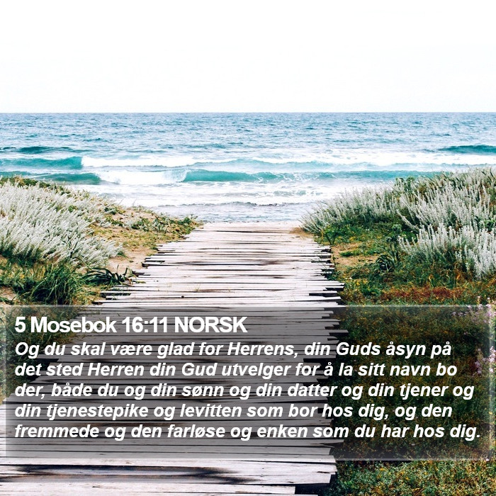 5 Mosebok 16:11 NORSK Bible Study