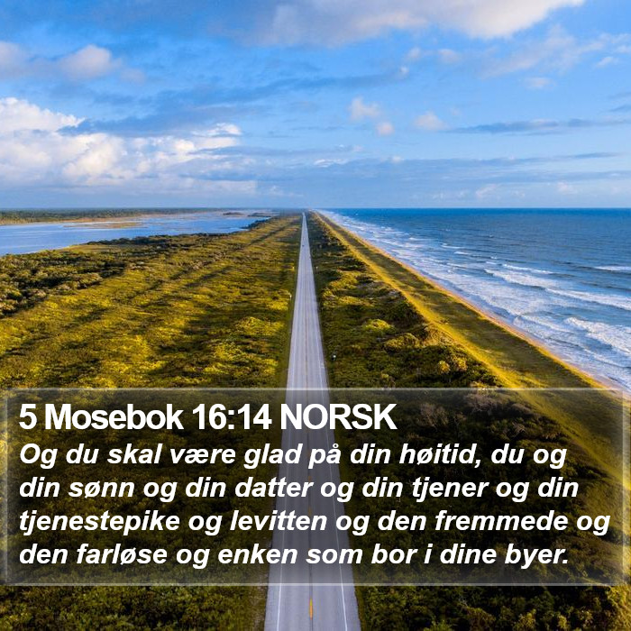 5 Mosebok 16:14 NORSK Bible Study