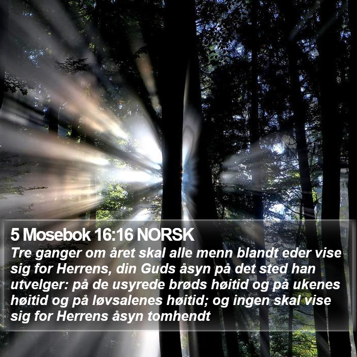 5 Mosebok 16:16 NORSK Bible Study