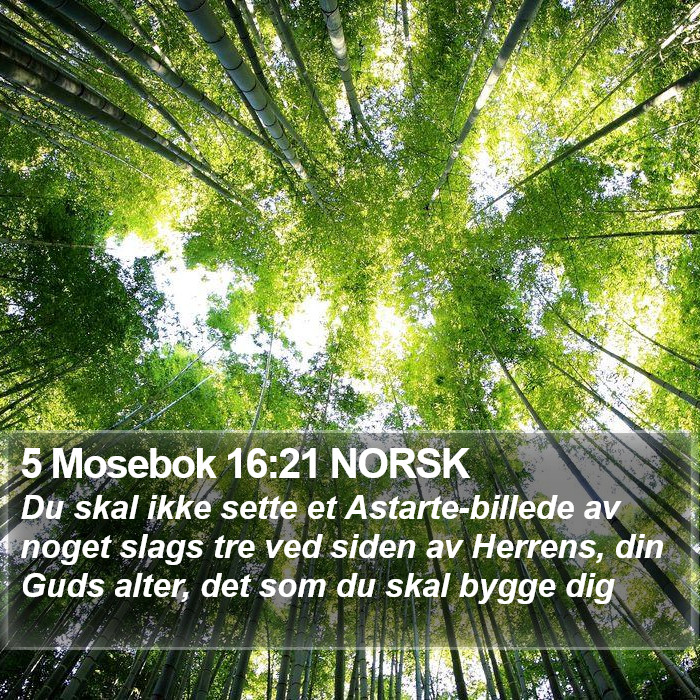 5 Mosebok 16:21 NORSK Bible Study