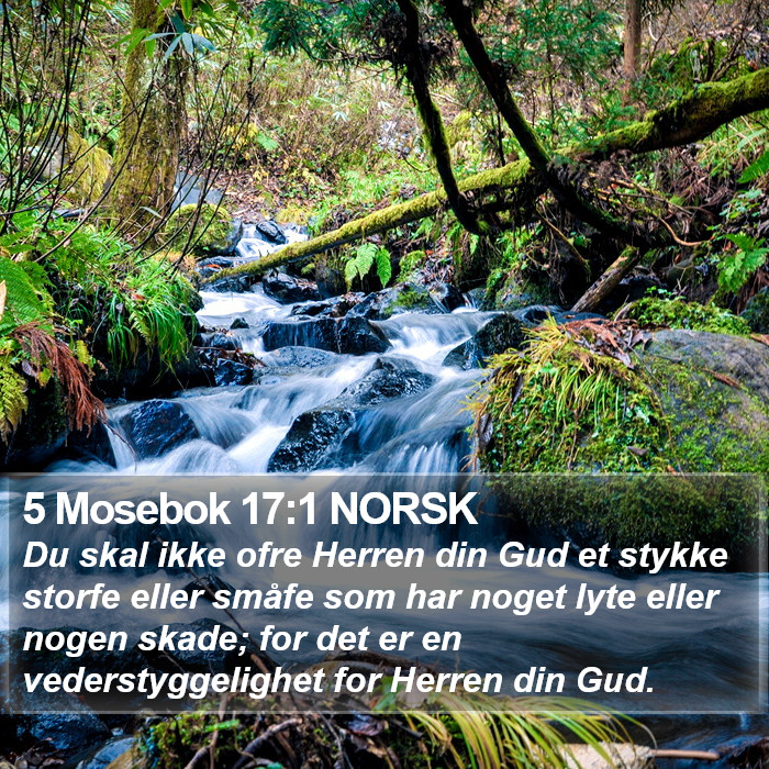 5 Mosebok 17:1 NORSK Bible Study