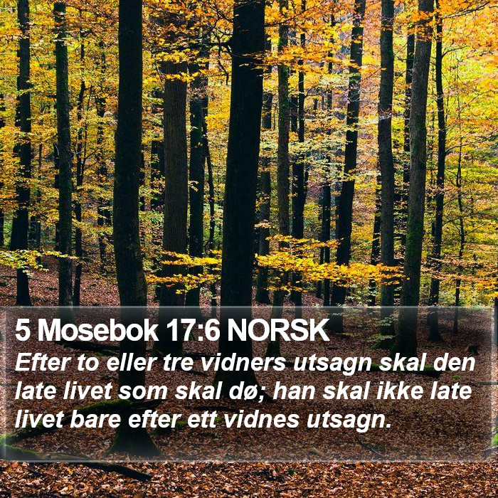 5 Mosebok 17:6 NORSK Bible Study