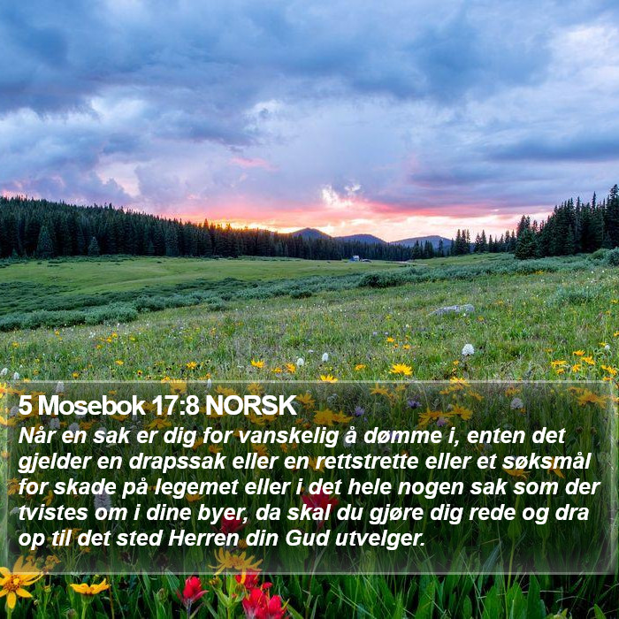 5 Mosebok 17:8 NORSK Bible Study