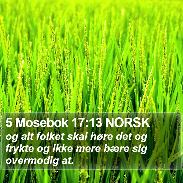 5 Mosebok 17:13 NORSK Bible Study