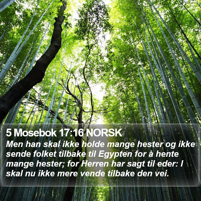 5 Mosebok 17:16 NORSK Bible Study