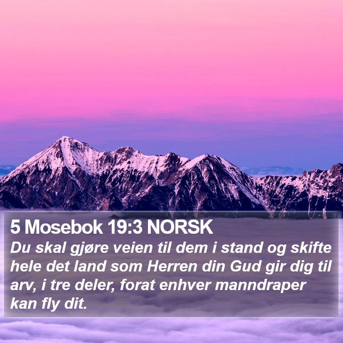 5 Mosebok 19:3 NORSK Bible Study