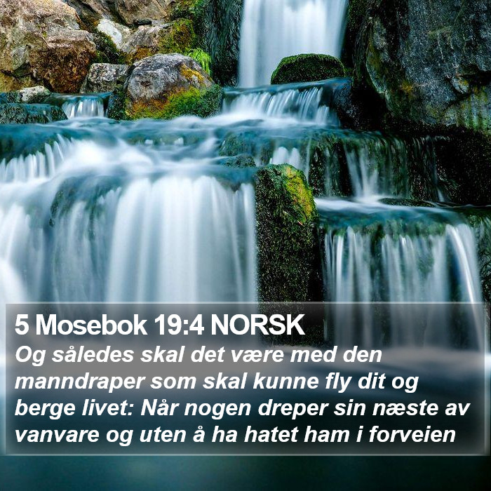 5 Mosebok 19:4 NORSK Bible Study