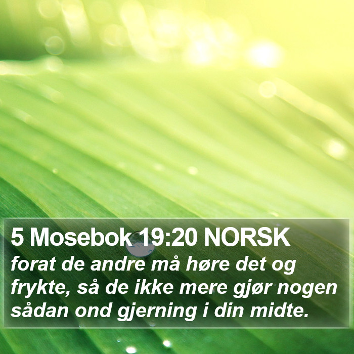 5 Mosebok 19:20 NORSK Bible Study