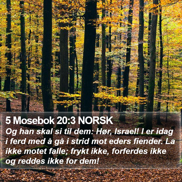 5 Mosebok 20:3 NORSK Bible Study