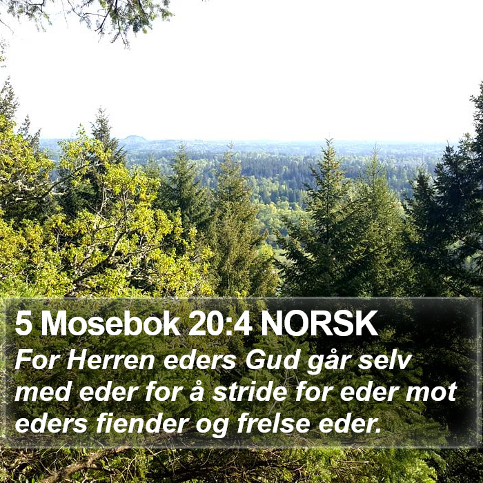 5 Mosebok 20:4 NORSK Bible Study