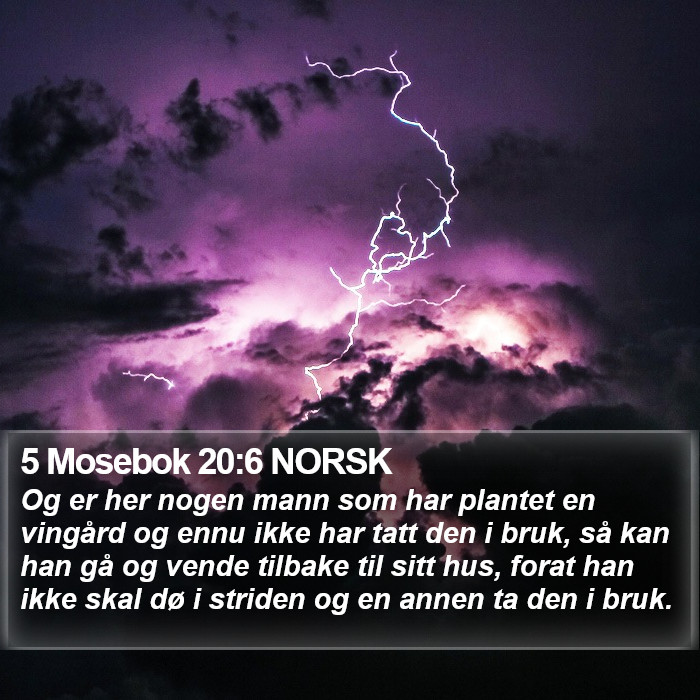 5 Mosebok 20:6 NORSK Bible Study