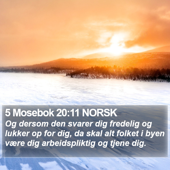 5 Mosebok 20:11 NORSK Bible Study