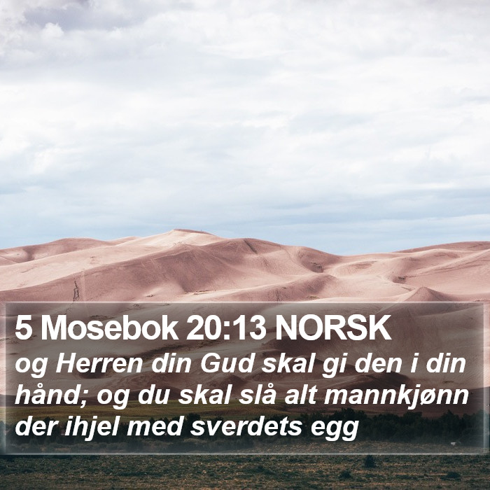 5 Mosebok 20:13 NORSK Bible Study