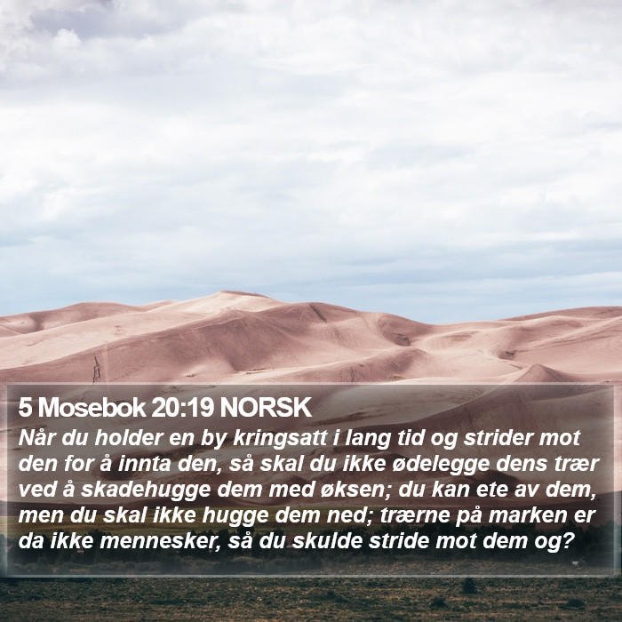 5 Mosebok 20:19 NORSK Bible Study