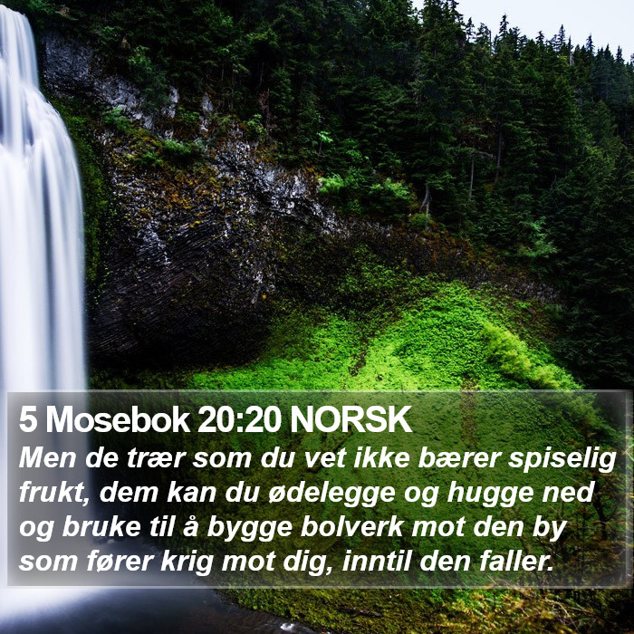 5 Mosebok 20:20 NORSK Bible Study