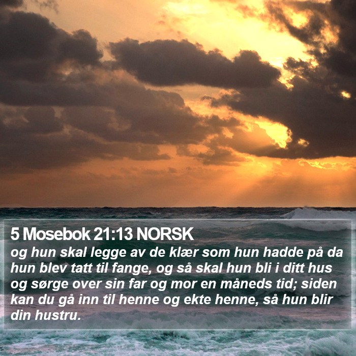 5 Mosebok 21:13 NORSK Bible Study