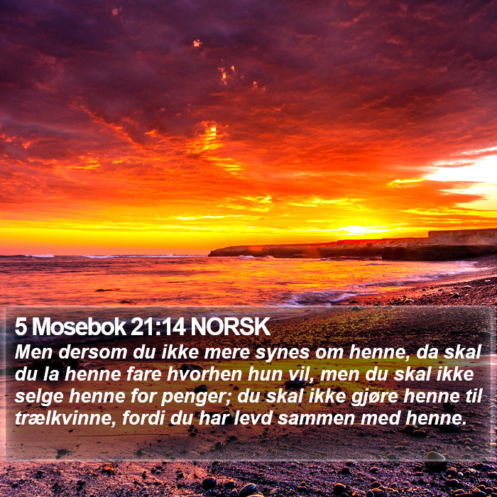 5 Mosebok 21:14 NORSK Bible Study