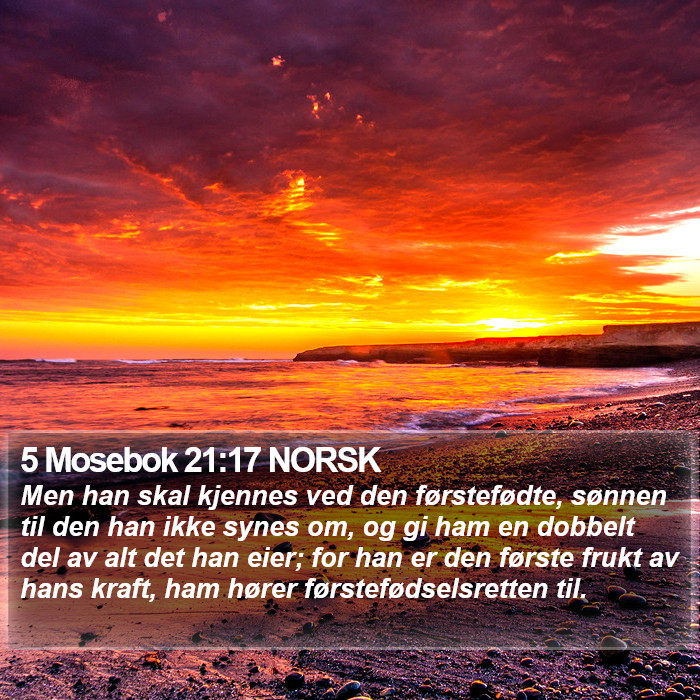 5 Mosebok 21:17 NORSK Bible Study
