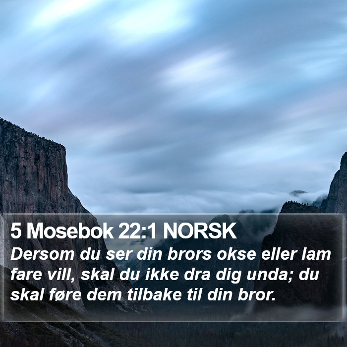 5 Mosebok 22:1 NORSK Bible Study