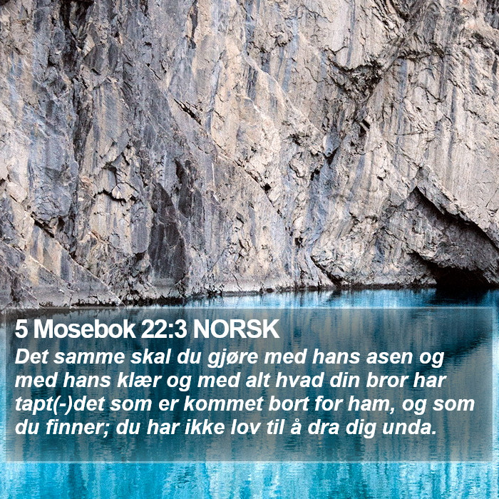 5 Mosebok 22:3 NORSK Bible Study
