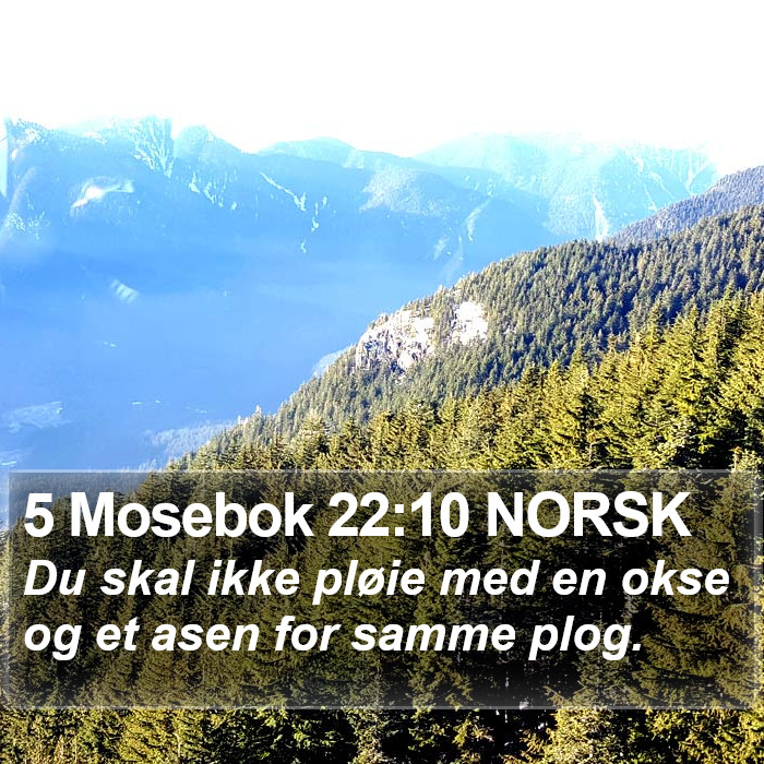 5 Mosebok 22:10 NORSK Bible Study