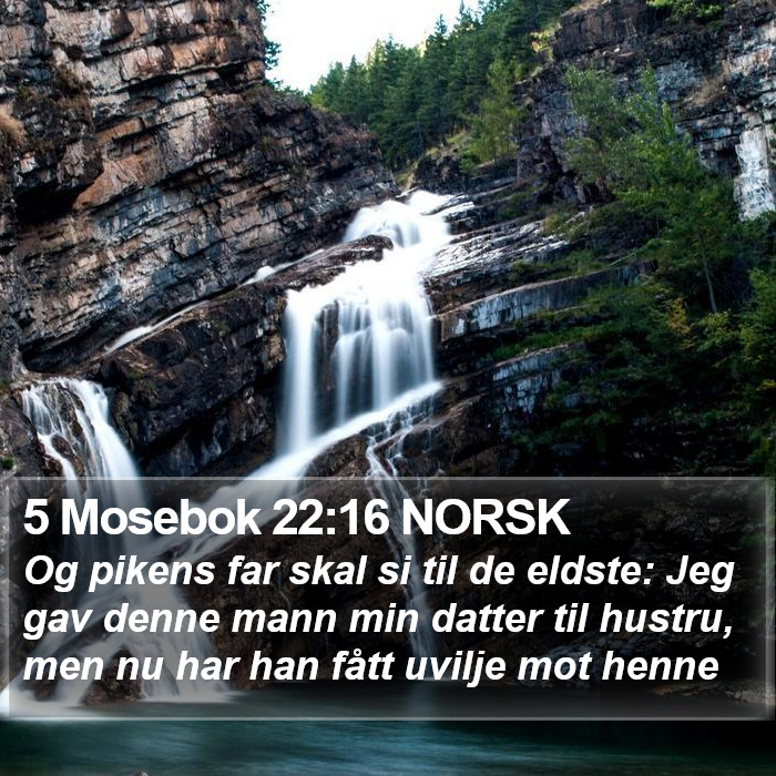 5 Mosebok 22:16 NORSK Bible Study