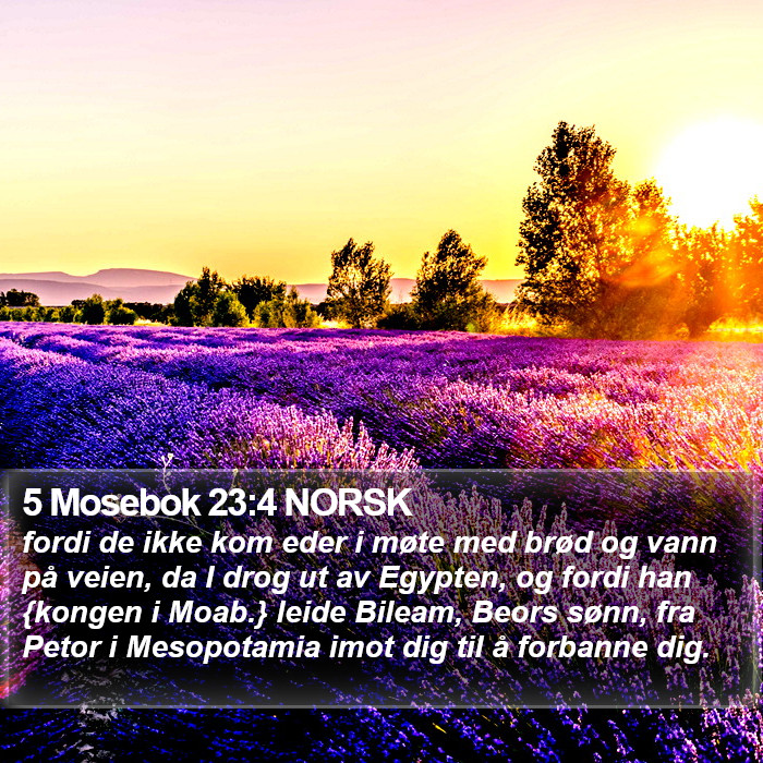 5 Mosebok 23:4 NORSK Bible Study