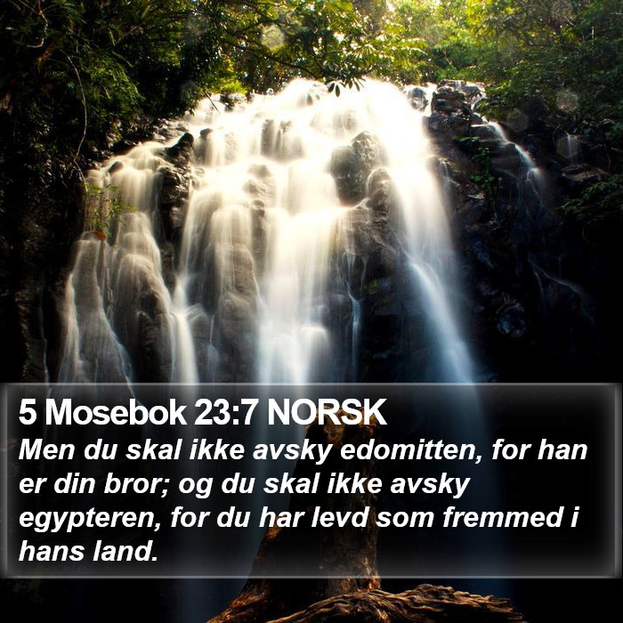 5 Mosebok 23:7 NORSK Bible Study