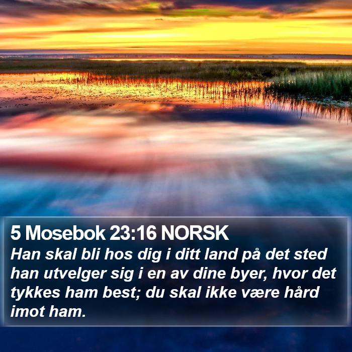 5 Mosebok 23:16 NORSK Bible Study