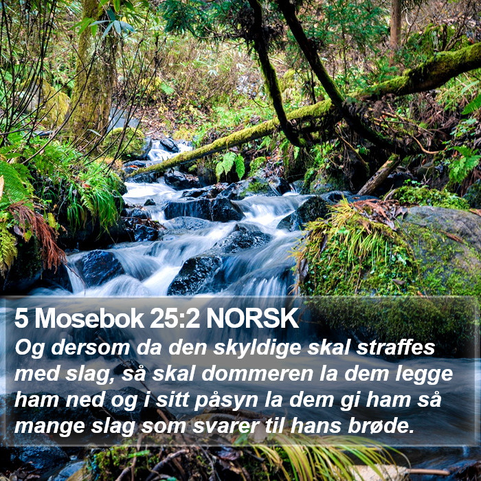 5 Mosebok 25:2 NORSK Bible Study