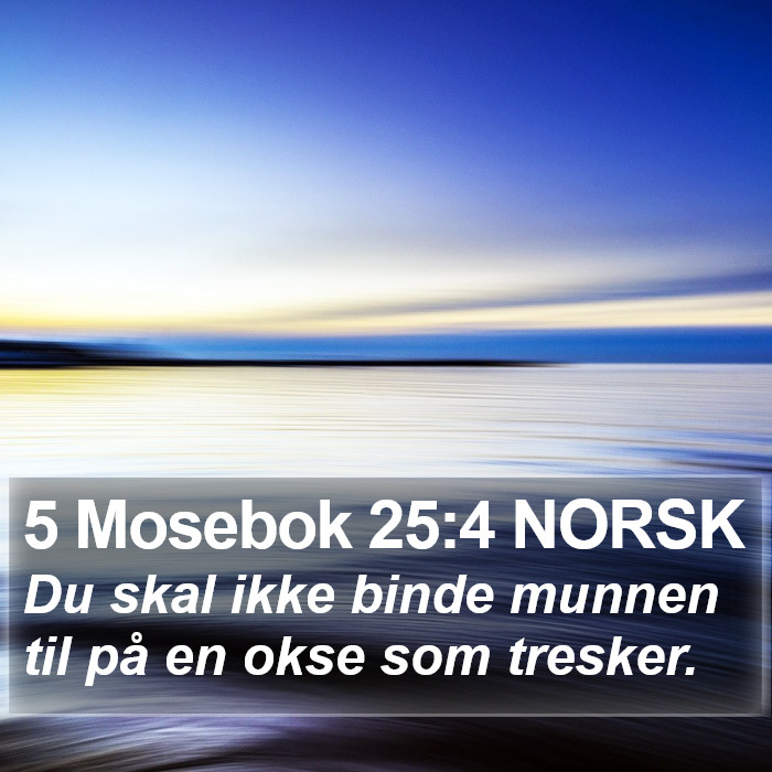 5 Mosebok 25:4 NORSK Bible Study