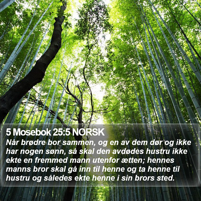 5 Mosebok 25:5 NORSK Bible Study