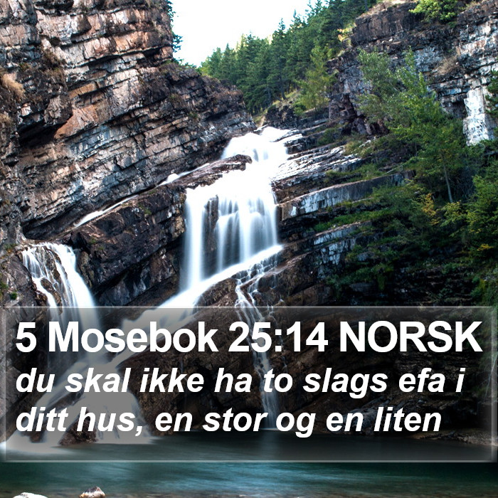 5 Mosebok 25:14 NORSK Bible Study