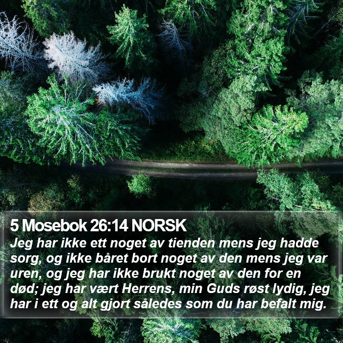 5 Mosebok 26:14 NORSK Bible Study