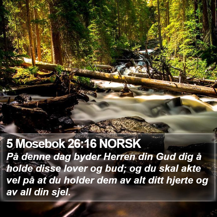 5 Mosebok 26:16 NORSK Bible Study