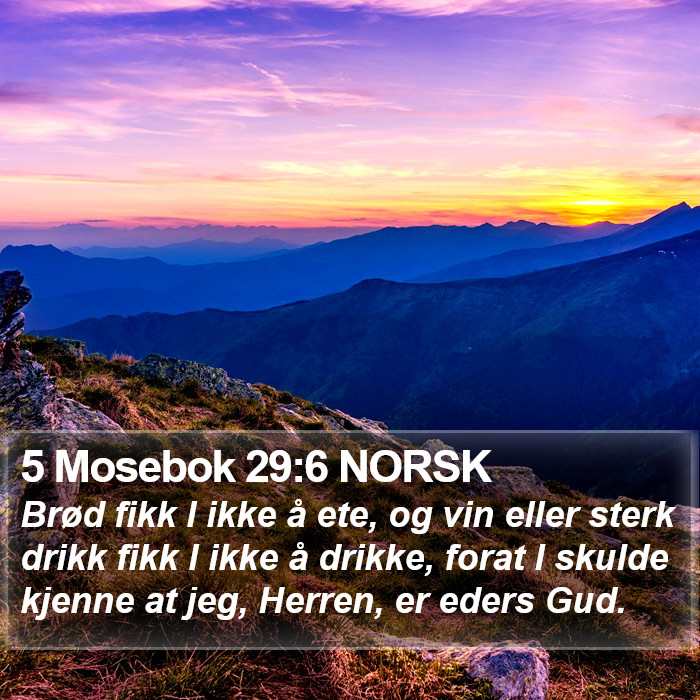 5 Mosebok 29:6 NORSK Bible Study