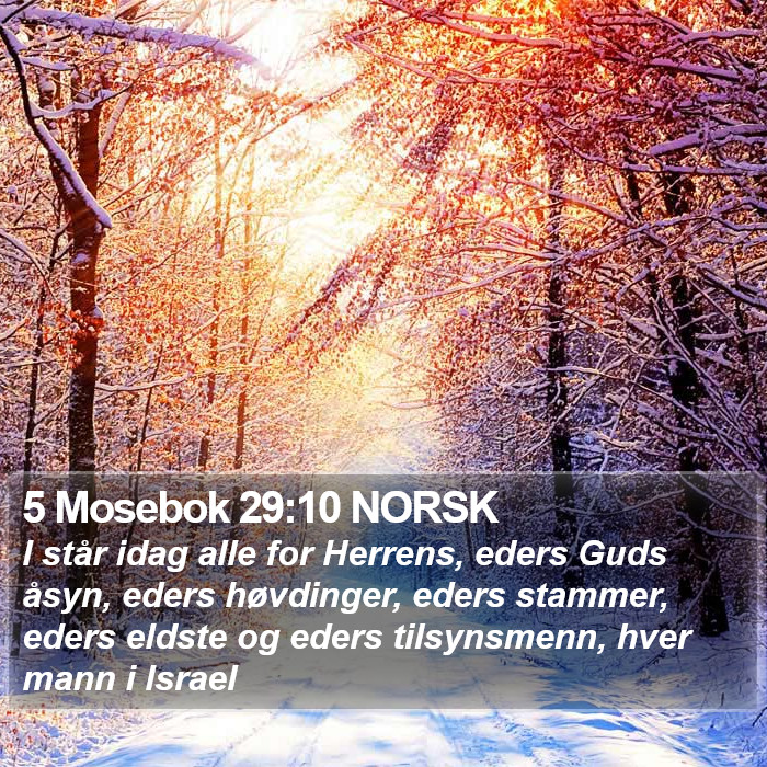 5 Mosebok 29:10 NORSK Bible Study